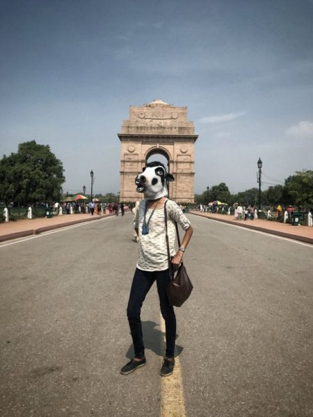 Donne mascherate da vacche in India-1
