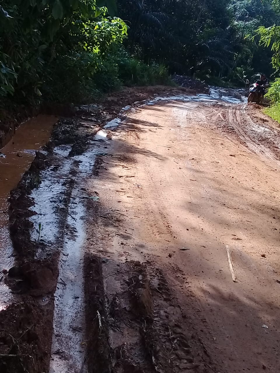 Kalimantan, suore agostiniane in moto o in motoscafo per giovani e neonati