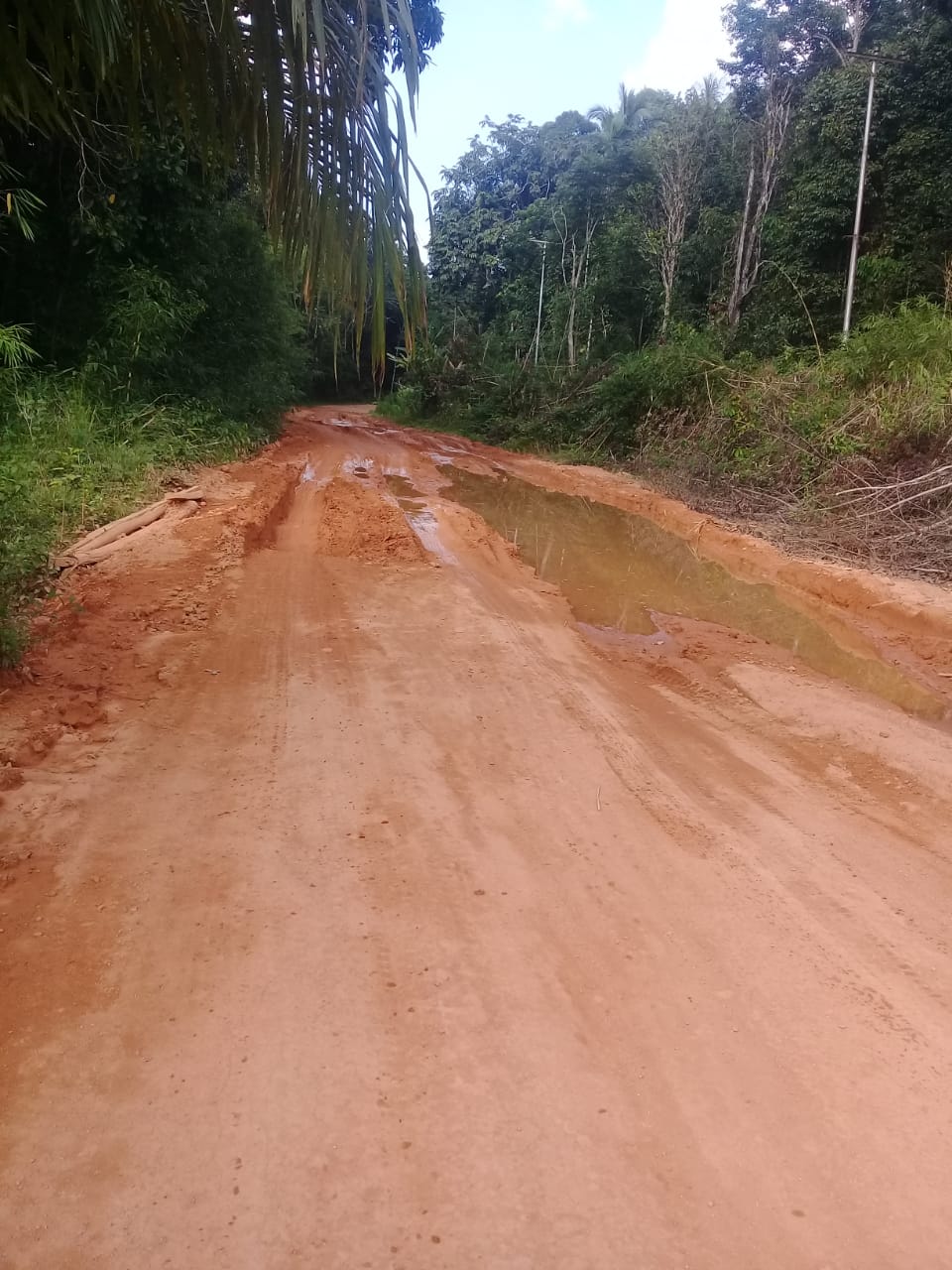 Kalimantan, suore agostiniane in moto o in motoscafo per giovani e neonati