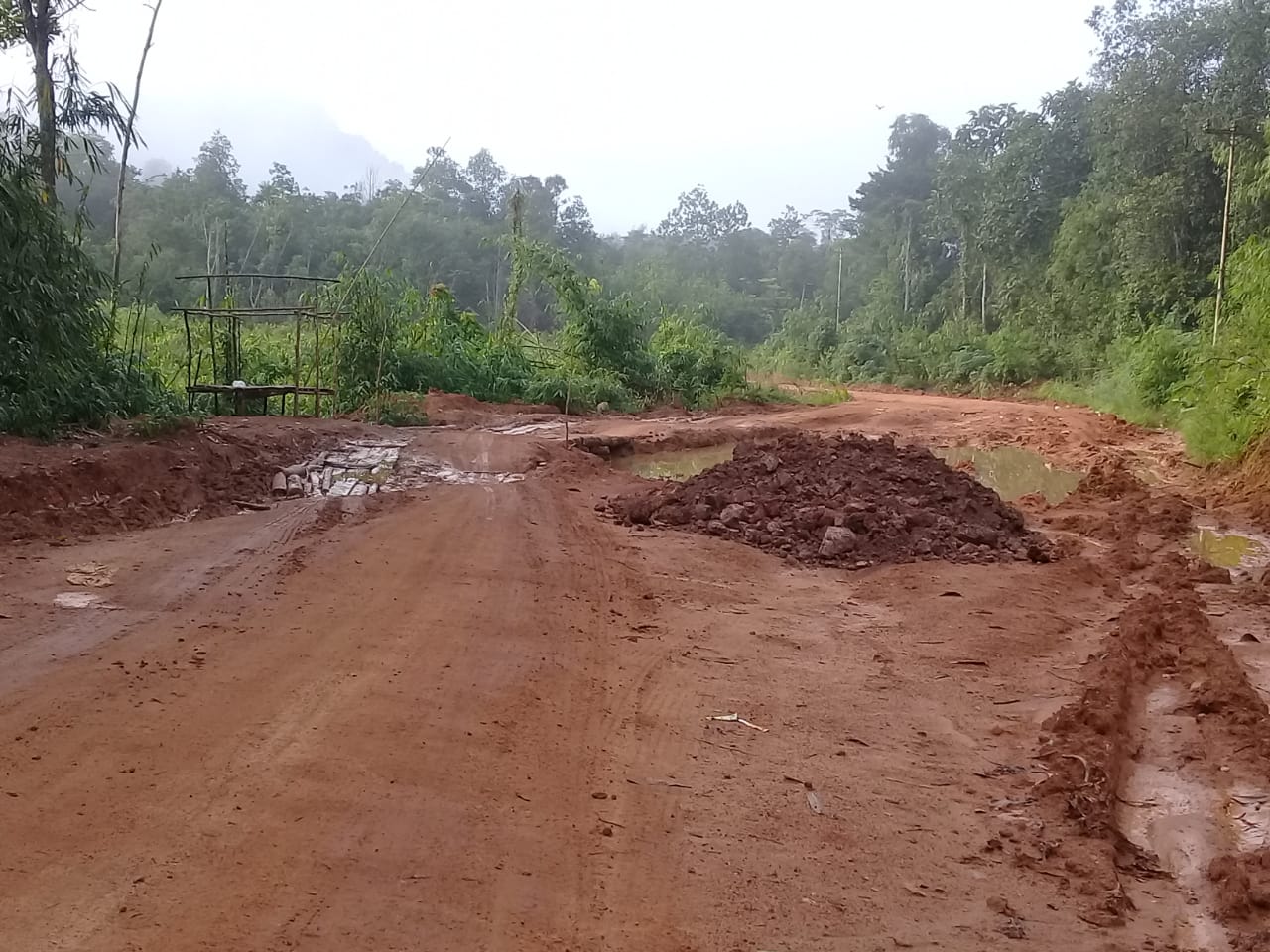 Kalimantan, suore agostiniane in moto o in motoscafo per giovani e neonati