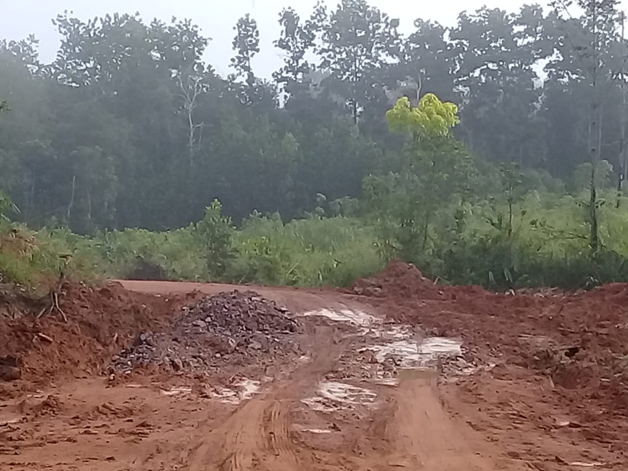 Kalimantan, suore agostiniane in moto o in motoscafo per giovani e neonati