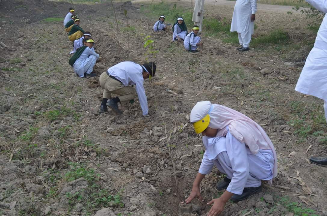 Caritas Pakistan pianta 700mila alberi