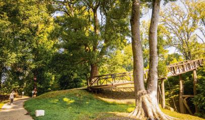 IMG_2486.jpeg