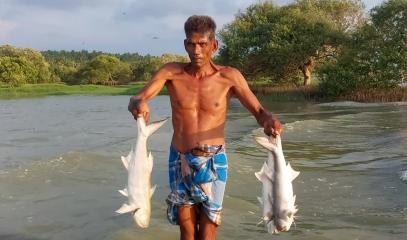 Mundalama_Lagoon_i.jpg