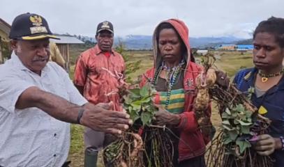 Papuans_expecting_airlift_food_drop-offs.jpg