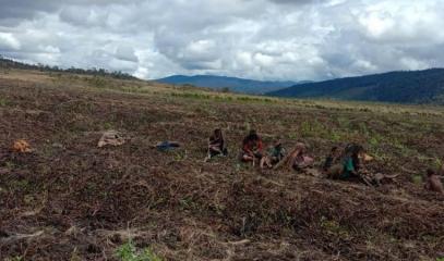 Papuans_expecting_airlift_food_drop-offs.jpg