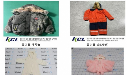 korea_dress.png
