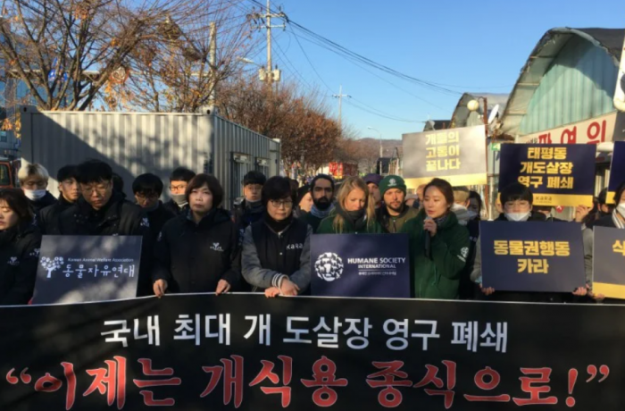 SOUTH KOREA South Korea wants to ban the consumption of dog meat