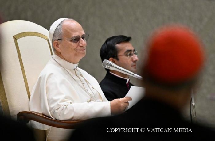Pope: new series of catechises on Vatican II, "the guiding star of the Church's journey"