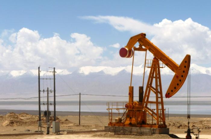 Gas and oil in Central Asia: lessons from the Uzbekneftegaz crisis