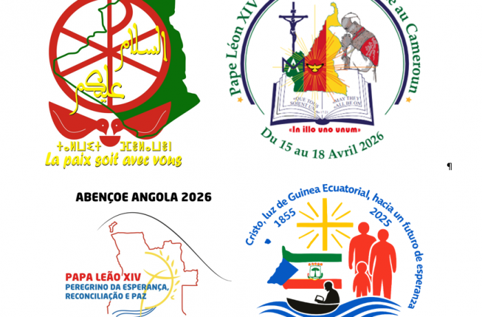 From Hippo to Luanda's 'Chinese' satellite city: Leo XIV's stops in Africa