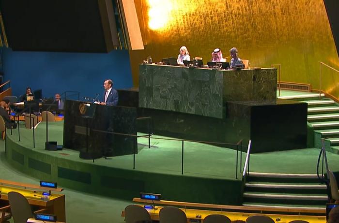 New York Declaration: The new UN plan for a Palestinian state with peace in Gaza