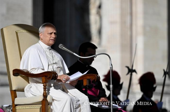 Leo XIV urges Thailand and Cambodia 'to immediately cease fire and resume dialogue'