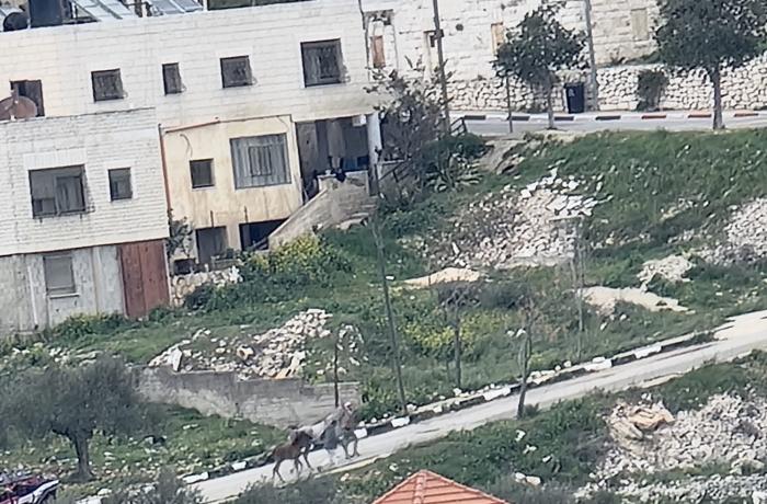 Settlers exploit war in Iran to commit new acts of violence in the West Bank