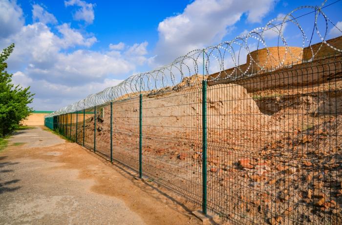 Security Threats at the CIS Borders